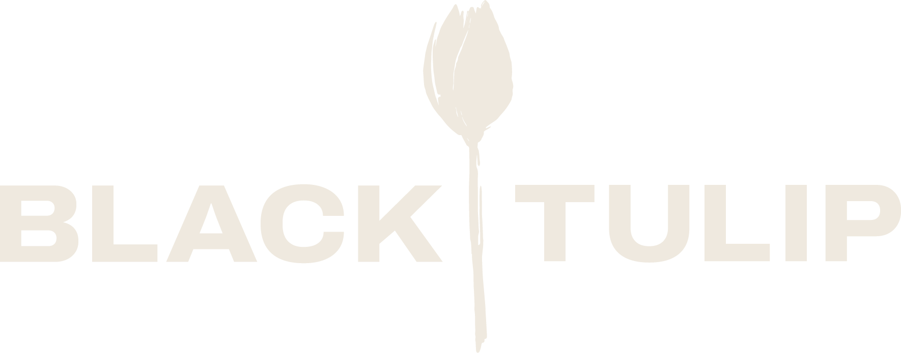 Black Tulip Logo